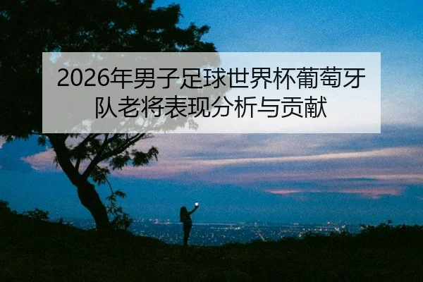 2026年男子足球世界杯葡萄牙队老将表现分析与贡献