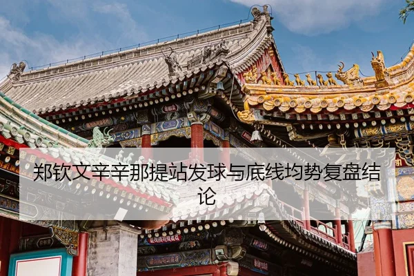 zheng-qin-wen-xin-xin-na-ti-zhan-fa-qiu-yu-di-xian-jun-shi-fu-pan-jie-lun-3-349.jpg