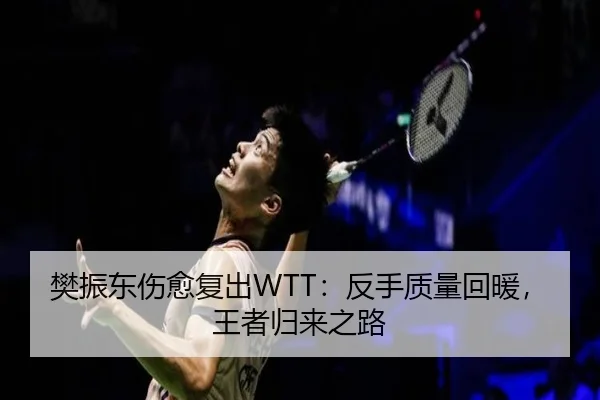 樊振东伤愈复出WTT：反手质量回暖，王者归来之路
