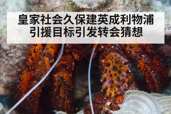 皇家社会久保建英成利物浦引援目标引发转会猜想